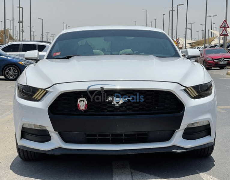 New & Used Ford Cars for Sale in UAE Yalla Deals
