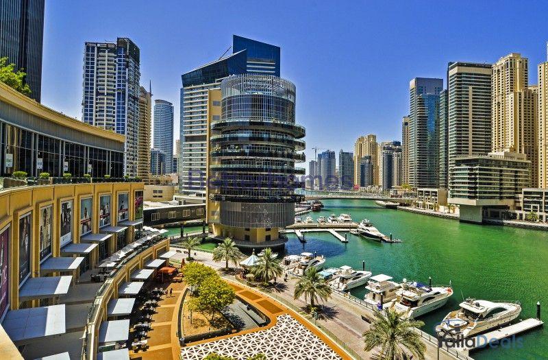 Real Estate_Apartments for Rent_Dubai Marina