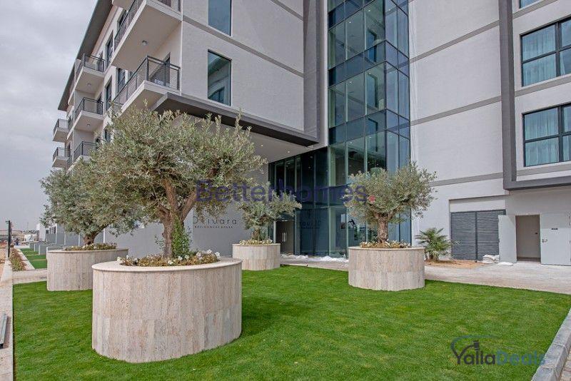 Real Estate_Apartments for Rent_Dubai Studio City