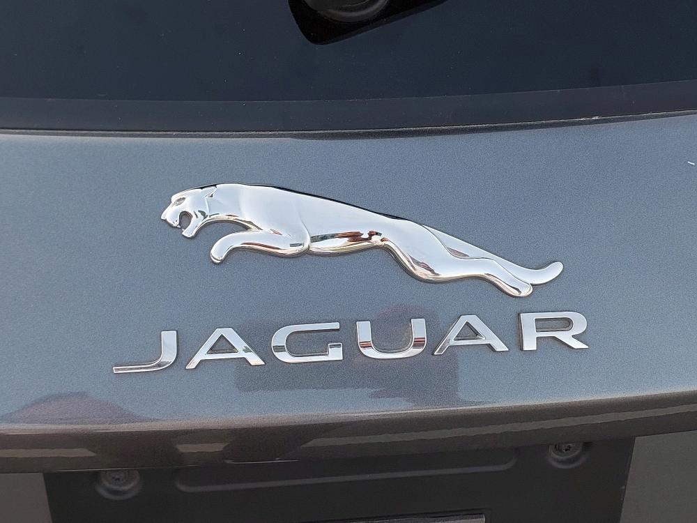 Cars for Sale_Jaguar_Saif Zone