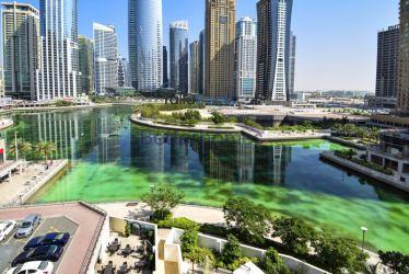 Real Estate_Hotel Rooms & Apartments for Sale_JLT Jumeirah Lake Towers